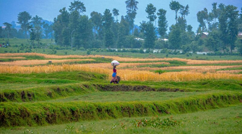 Rwandan fortified cereals boost nutrition security in schools - Climate Warriors